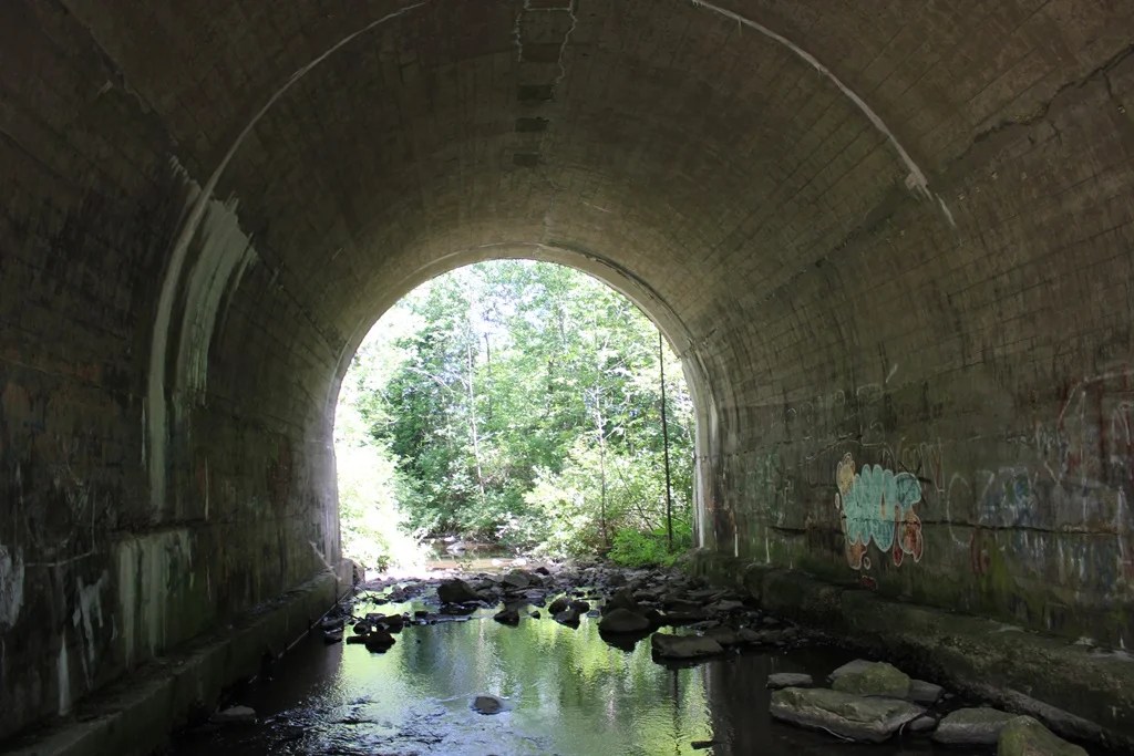 Francis Creek Trail Bridge